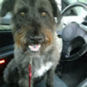 Meet your Posher, Charlene